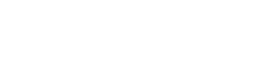Welzin